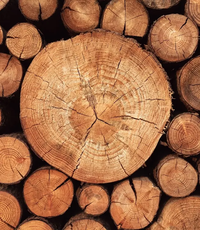Somos Madera, estudio creativo